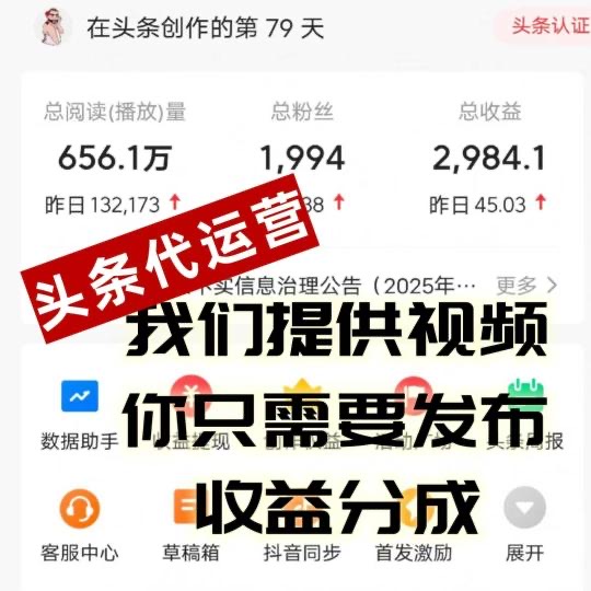 头条合作项目，收益五五分