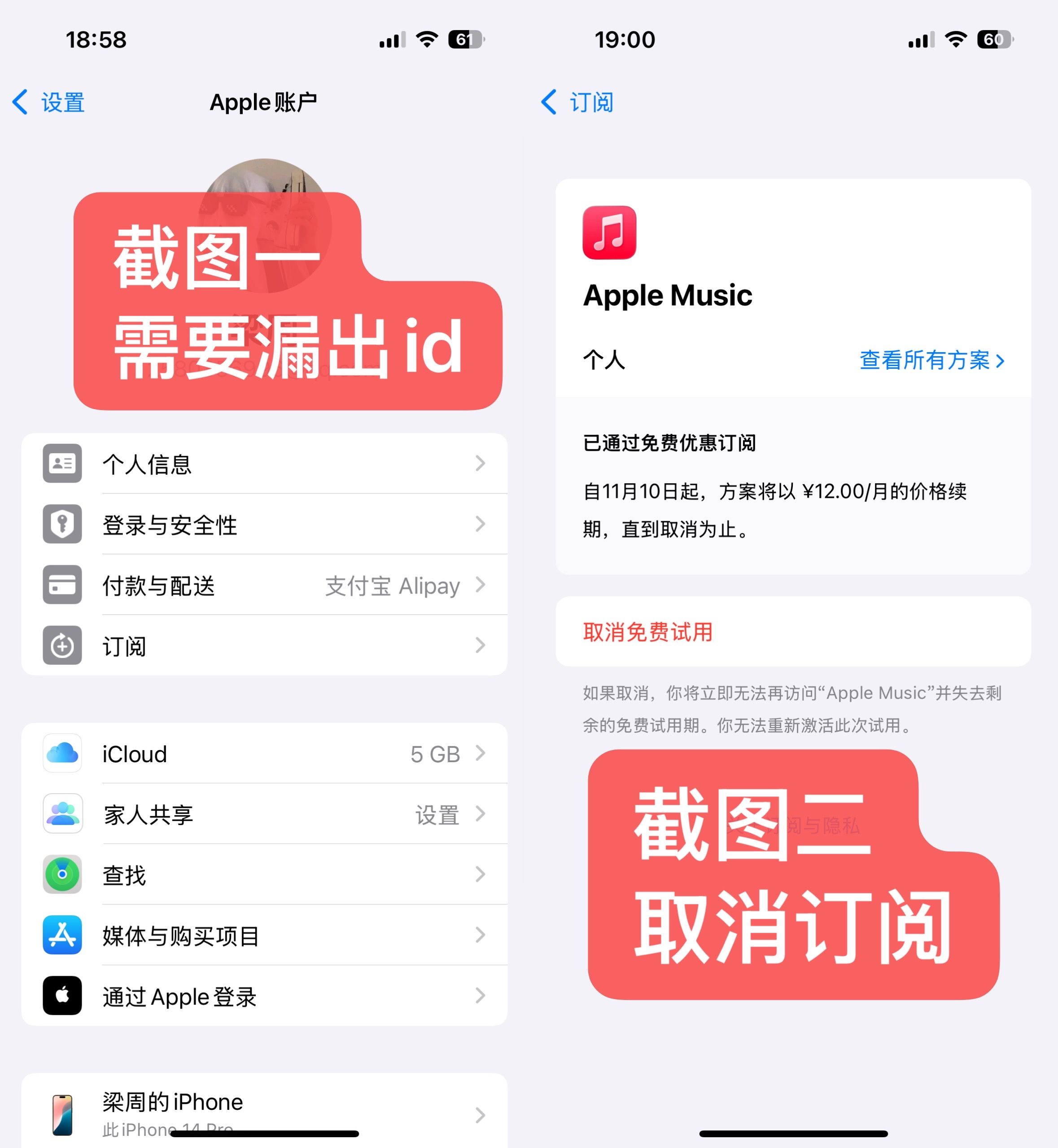 Apple Music订阅