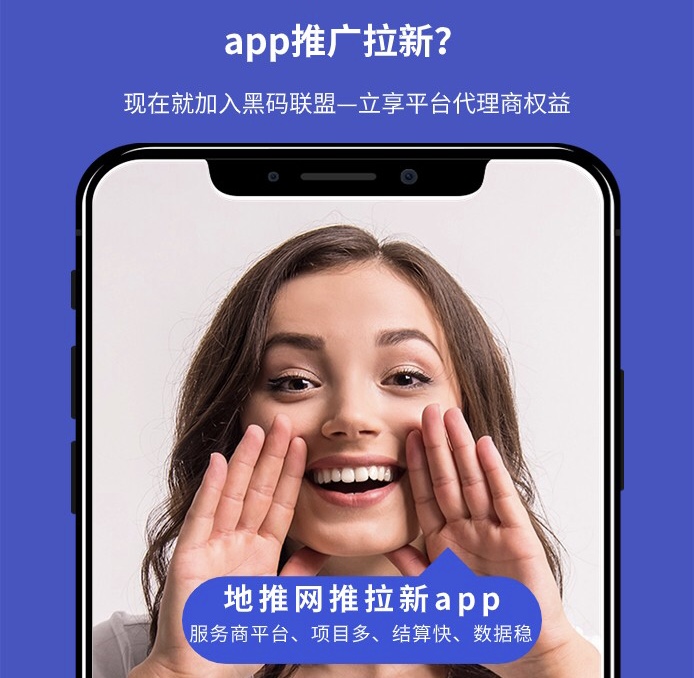 聚合地推网推项目