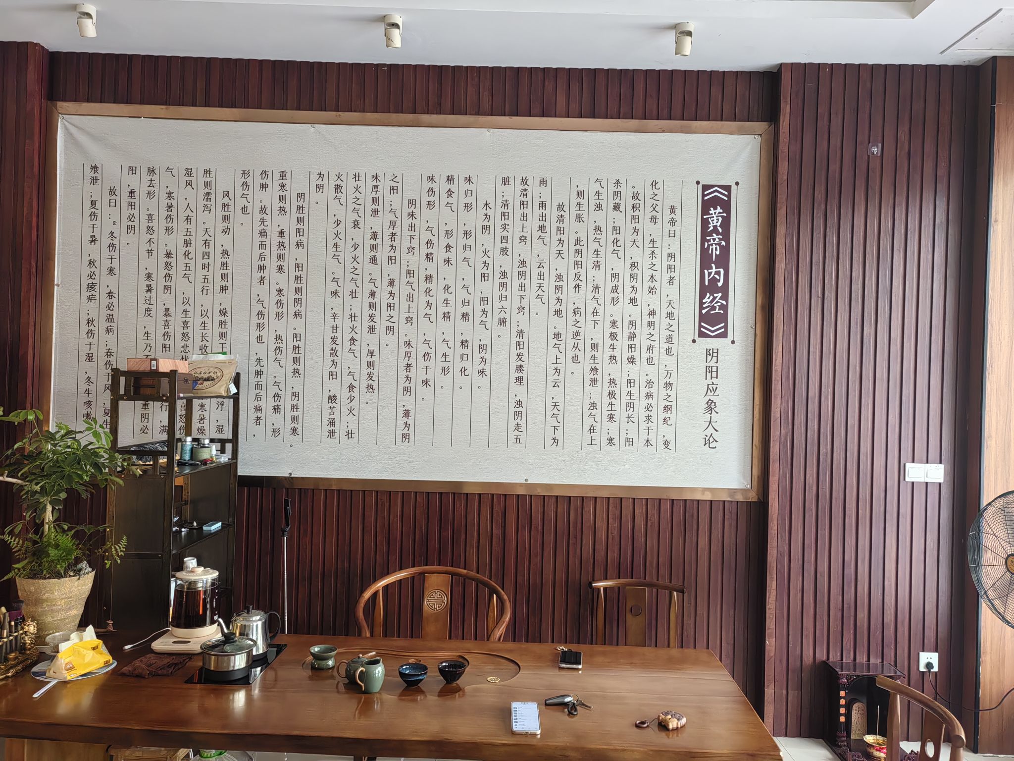 养生艾灸馆地推拓客