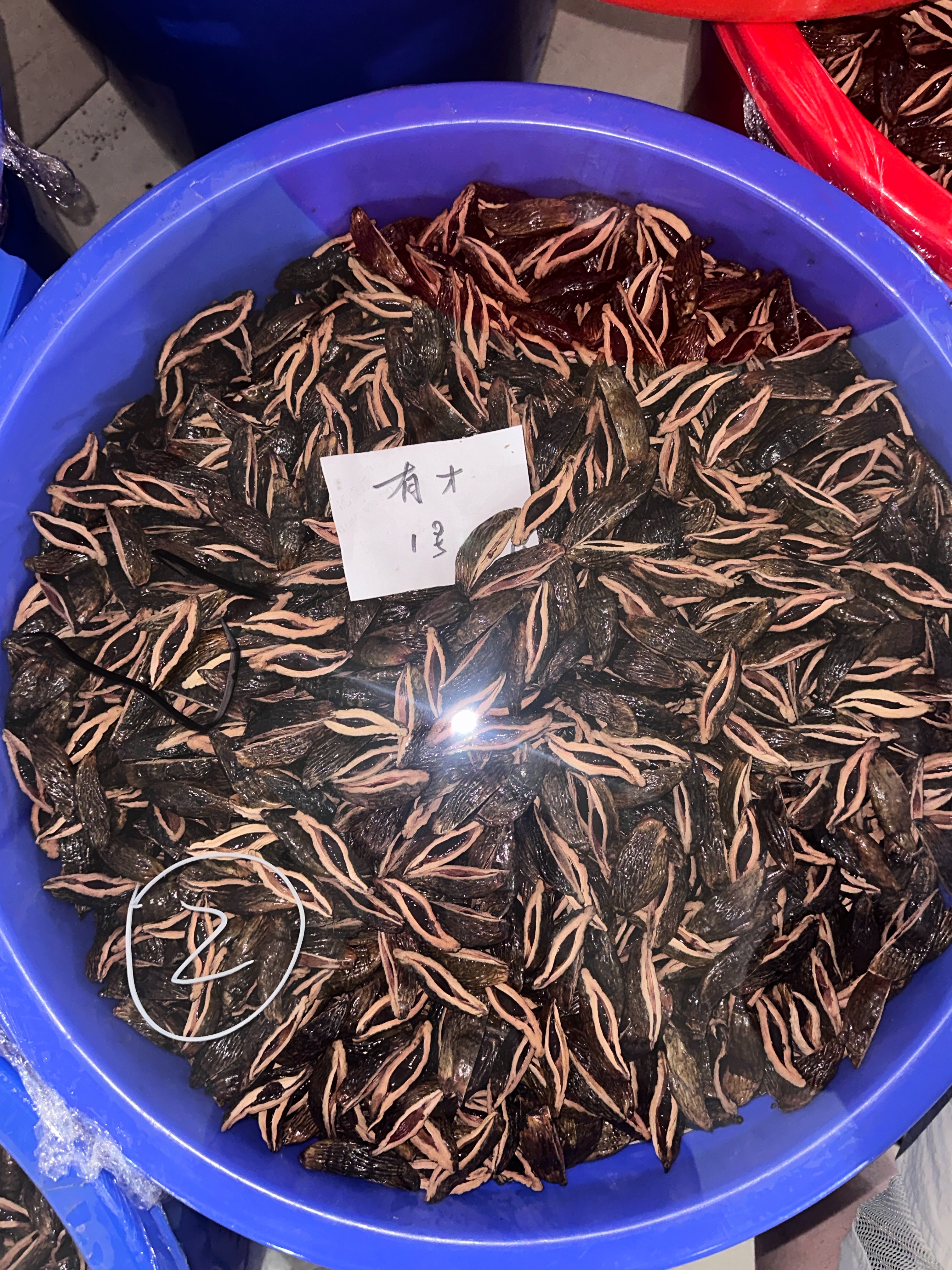 湘潭槟榔源头工厂|20多种口味，支持贴牌供货，诚寻全国商户代理合作