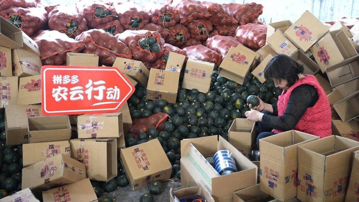 拼多多开店，助农项目，流量稳定，供应链源头，利润高