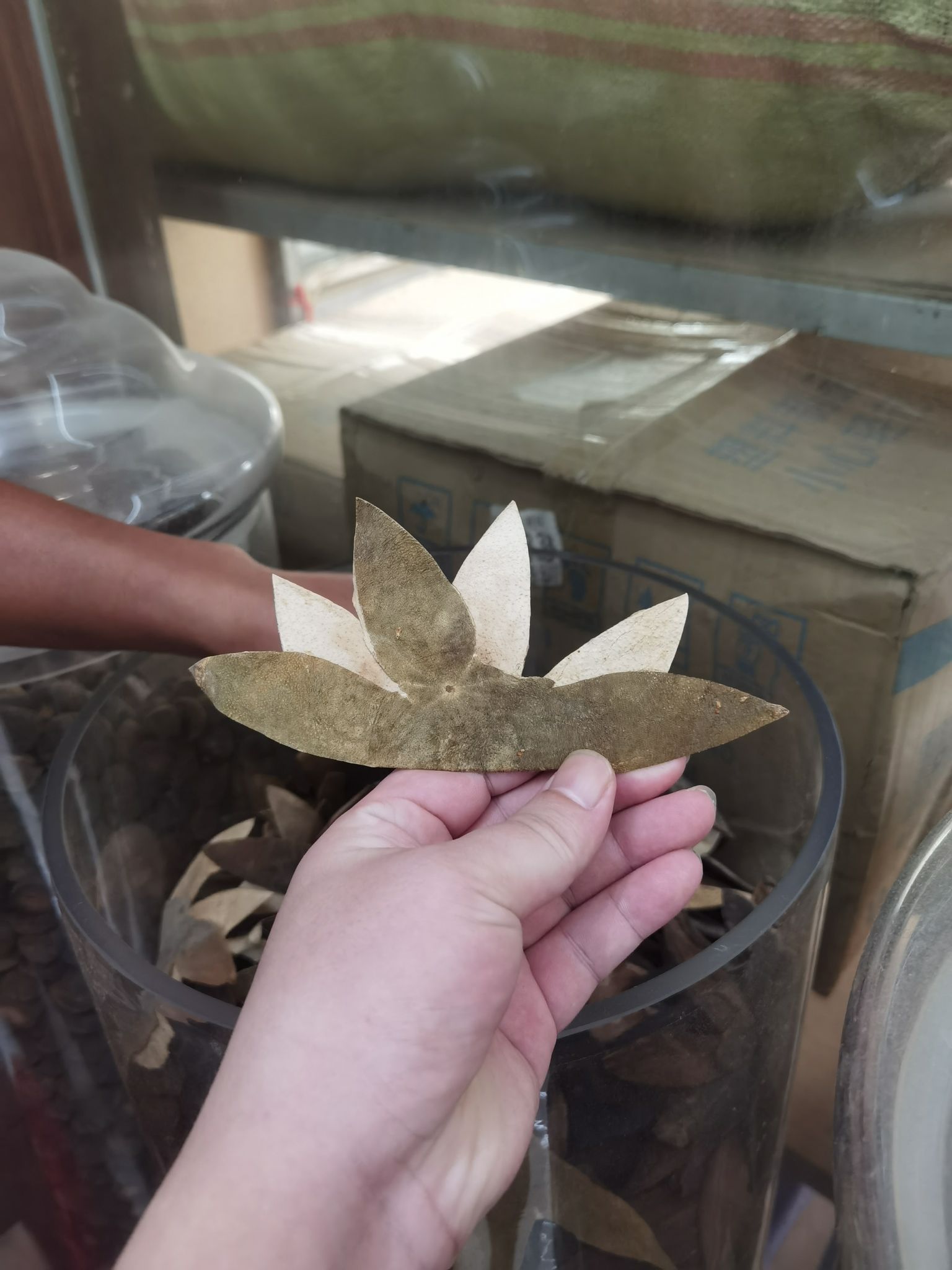 化橘红原产地批发