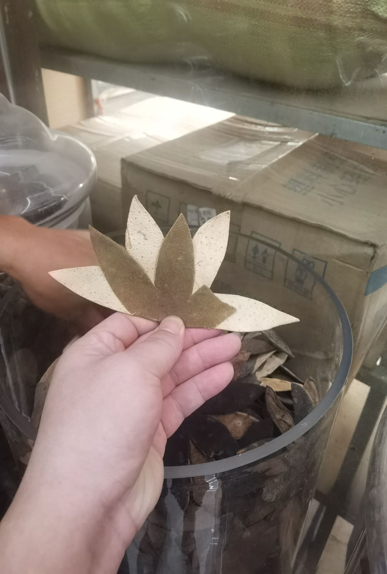 化橘红原产地批发