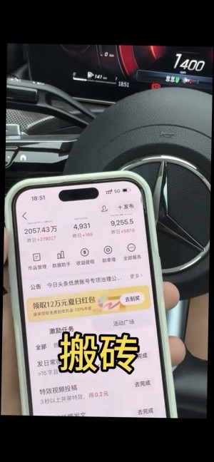 头条项目，有手机就能做，**100-500