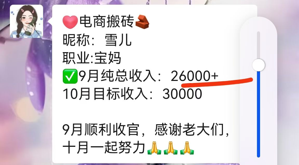 电商搬砖
