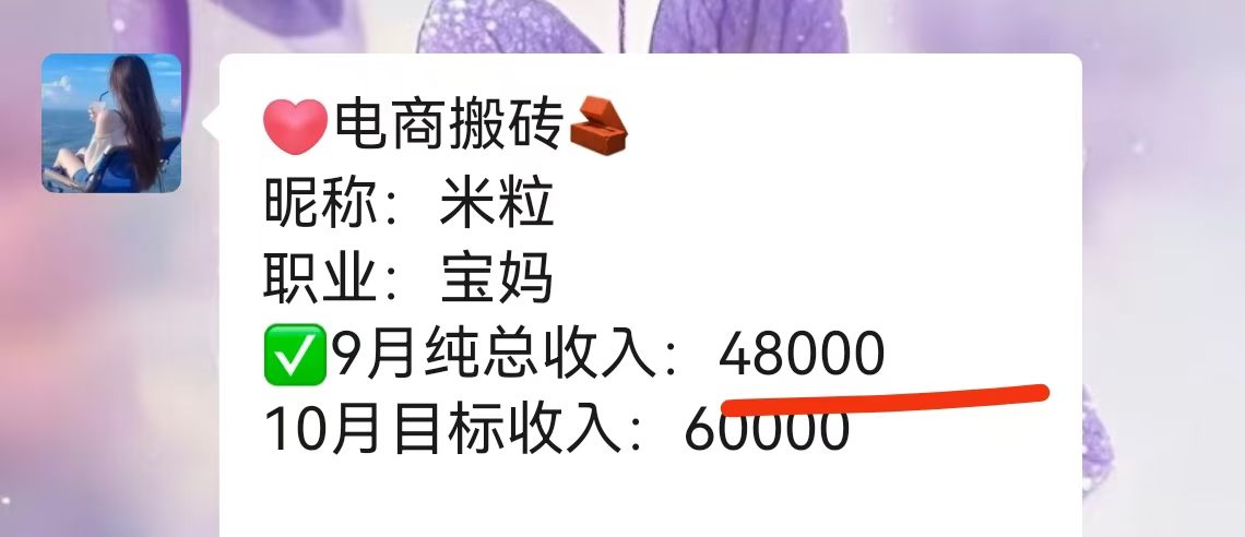 电商搬砖