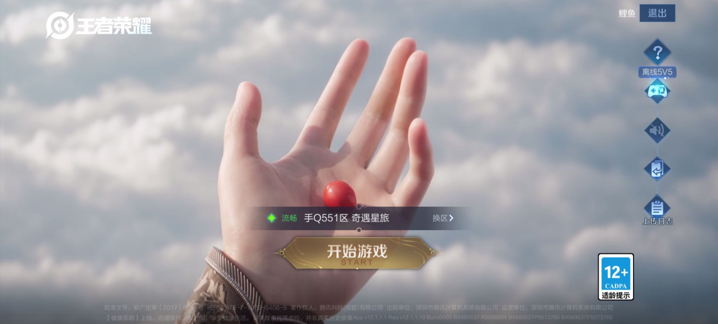 王者荣耀农场祝福项目，铂金五个号一天保底15，王者可以25一天