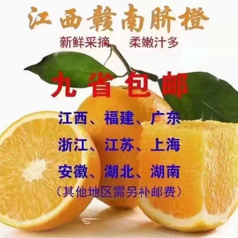 赣南脐橙，直招代理