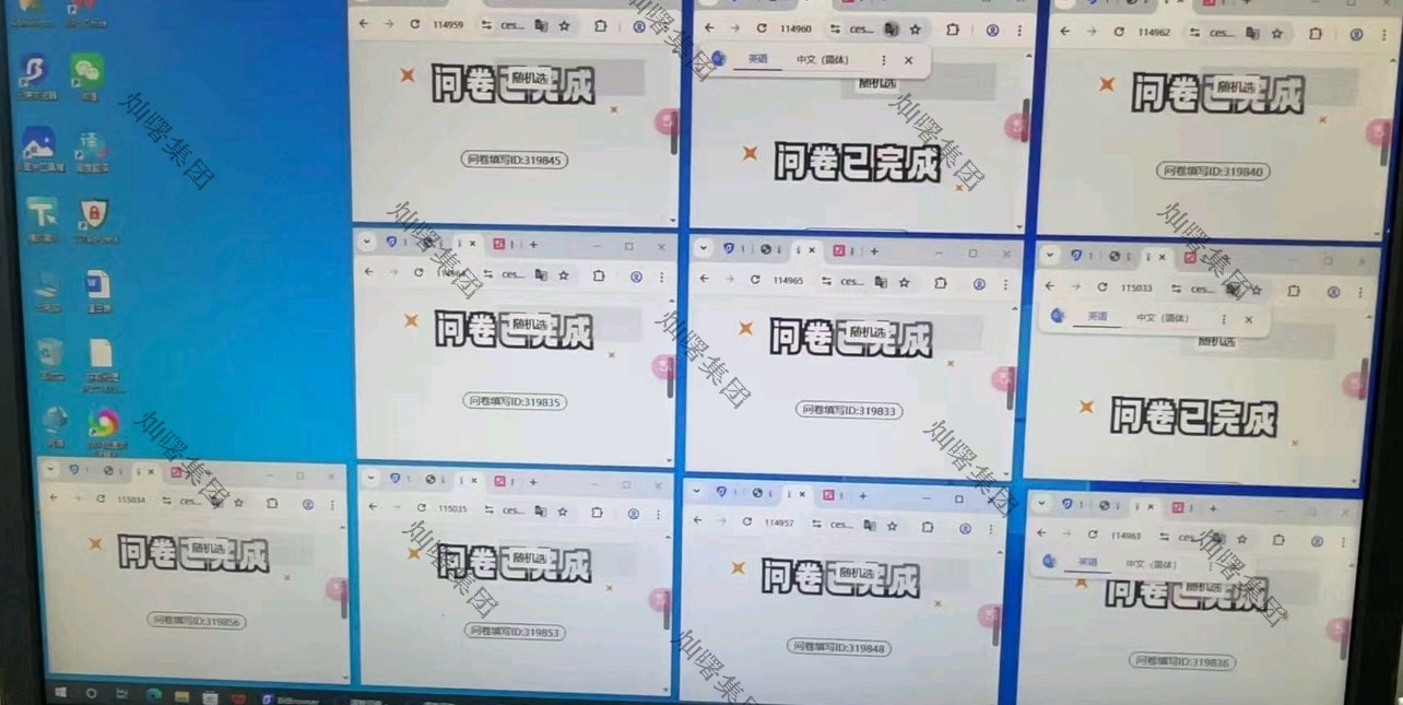 调查问卷项目 日结300