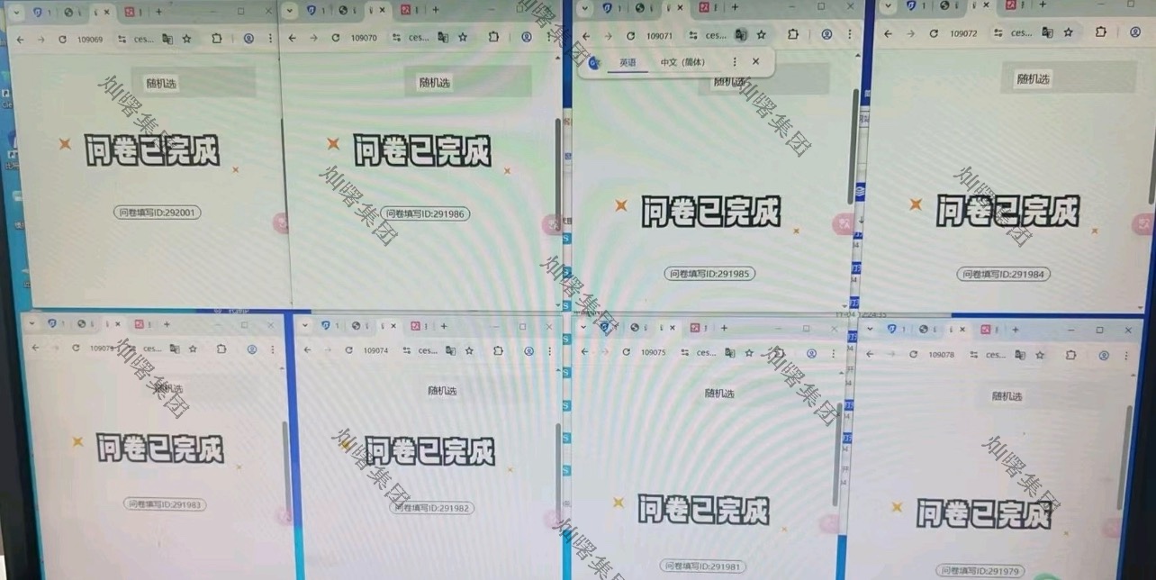 调查问卷项目 日结300