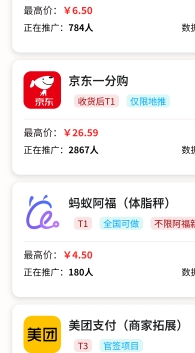 网推地推项目