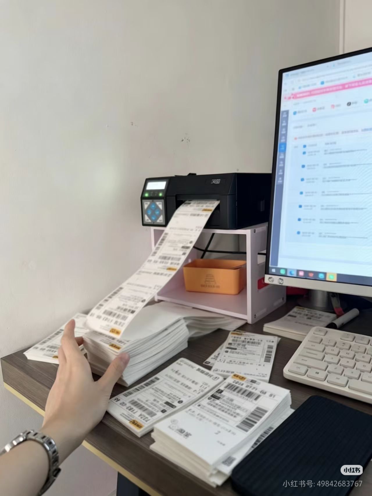 拼多多开店 有人带 小白可做