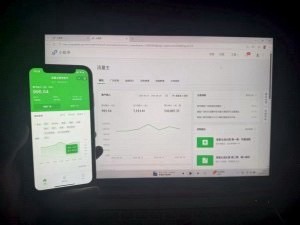 公**流量主项目/副业，低门槛，单号每日稳定收入300-800+，支持测试