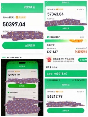 被动管道收益项目，单人**600+，可矩阵放大，纯绿色长期可做