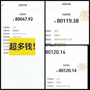 被动管道收益项目，单人**600+，可矩阵放大，纯绿色长期可做